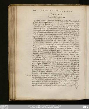 Cap. XLI. De concilio Diospolitano.