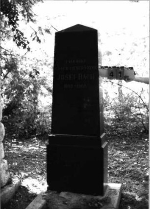 Grabstein 41 (Index: 99618175) Maße HxBxT: 182x50x23 cm: Grabstein 41