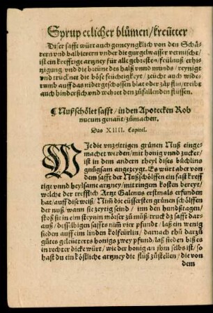 Das XIIII. Capitel.