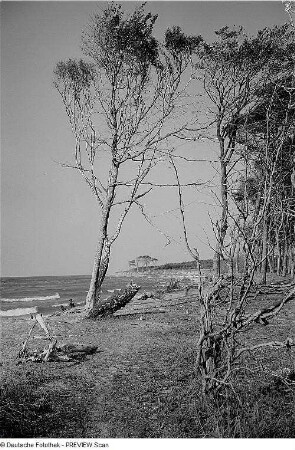 Weststrand Nord, Ahrenshoop