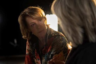 Auf der Suche nach Ingmar Bergman