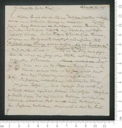 Brief von Adolf Erman an Adelbert von Chamisso