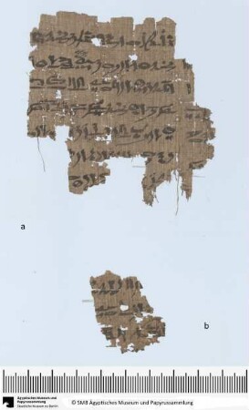 Hieratischer Papyrus: Erzählung über den Streit zwischen Horus und Seth, Späthieratisch