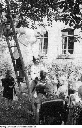 Radeburg, Berbisdorf, Hauptstraße 26. Berbisdorfer Schule (POS Berbisdorf), u.a. Einschulung, Zuckertüte, Zuckertütenbaum, 1952