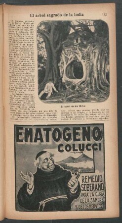 El árbol sagrado de la India