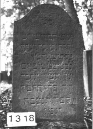 Grabstein 1318 (Index: 99900196) Material: Sandstein Zustand: leicht angewittert Maße HxBxT: 104x59x7 cm Beschreibung: Stele mit Konvexbogenabschluss, im Bogenfeld Ranken Symbolik: Ranken: Grabstein 1318