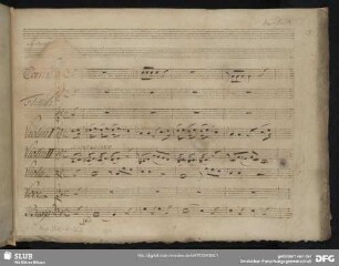 La Schiava liberata. Excerpts - Mus.3549-F-36,2 : S, orch, b