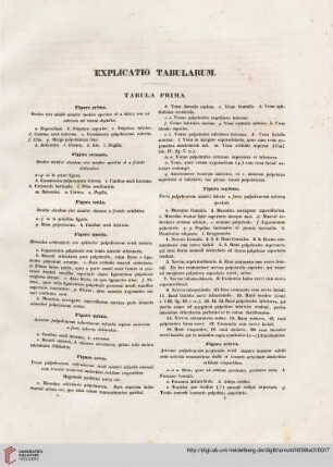 Explicatio tabularum