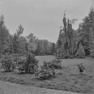 Kumrowitz (Schloss und Park) : Unbekannter Ort. Parkanlage