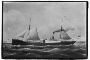 Neptun (1870), Neptun.- Dampfschifffahrts-Gesellschaft „Neptun“, Neptun Linie, D.G. "Neptun", Bremen
