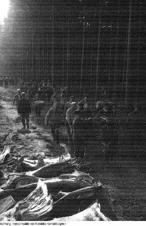 Dresden. Stukenroden für die frierende Bevölkerung im Winter 1946/47, 1947
