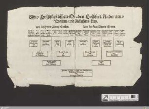 Ihro Hochfürstlichen Gnaden Hochseel. Andenckens Stamm- und Gebuhrts-Liny ...