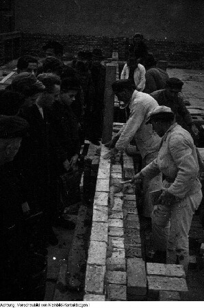 Dresden, Reportage über die Arbeit der freiwilligen Aufbauhelfer, Schüler der Prof.-Dr.-Zeigner-Schule Dresden, November 1953