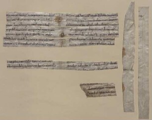 Homiliar - BSB Clm 29319(6