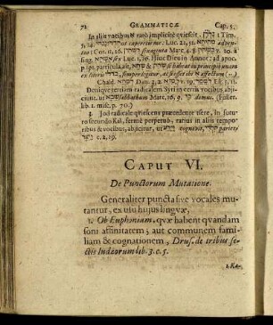Caput VI. De Punctorum Mutatione.