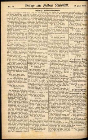 Zweite Ausgabe vom Samstag, den 19. Juni 1880.