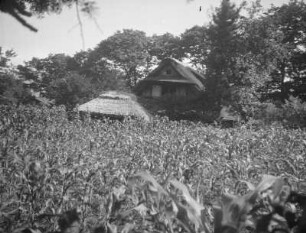 Bauernhaus in Nagaike : Ansicht mit Feld