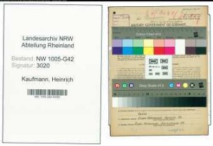 Entnazifizierung Heinrich Kaufmann , geb. 03.08.1908 (Maler)