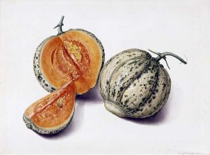 Malteser Melone