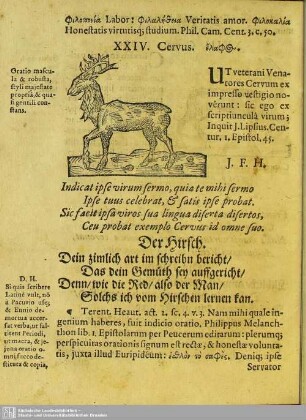 XXIV. Cervus