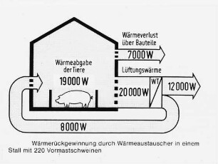 Wärmerückgewinnung durch Wärmeaustauscher in einem Stall mit 220 Vormastschweinen