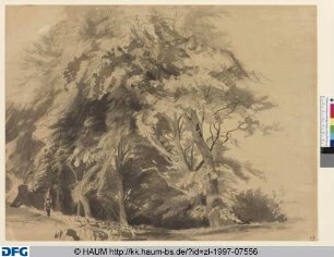 Baumlandschaft mit Schafherde