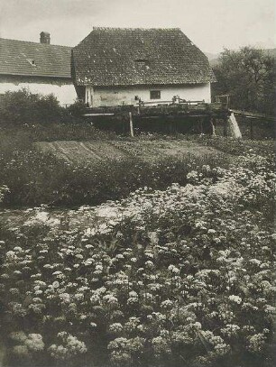 Motiv im Wechsel bei Aspang