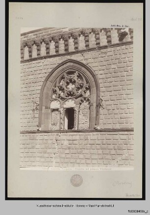 Palazzo Vitelleschi, Museo Nazionale Tarquiniense, Tarquinia