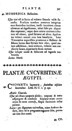 Plantae Cucurbitinae Aegypti