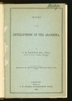 Notes on the development of the araneina