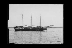 Bertha von Busch (1931), Frachtschiff, F. von Busch, Bau-Nr. 403