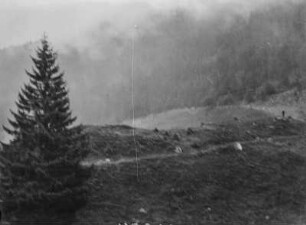 Bergwald : Blick auf einen wolkenverhangenen Hang mit Bergwald