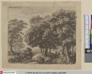 [Landschaft mit einer Allee; The forest lane]