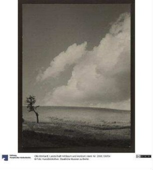 Landschaft mit Baum und Horizont