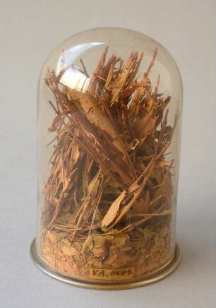 Röhrenglas mit Kräuter