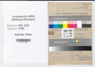 Entnazifizierung Peter Schmitz , geb. 28.06.1895 (Metzger)