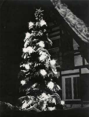 Weihnachtsbaum