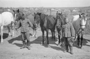 Zweiter Weltkrieg. Frontbilder. Rußland, Oblast Belgorod. Angehörige der deutschen Wehrmacht mit Pferden