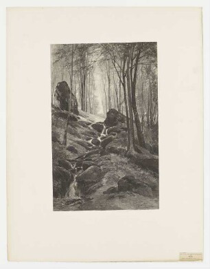 Cascade, Blatt 44 der Folge "Le paysage au fusain"