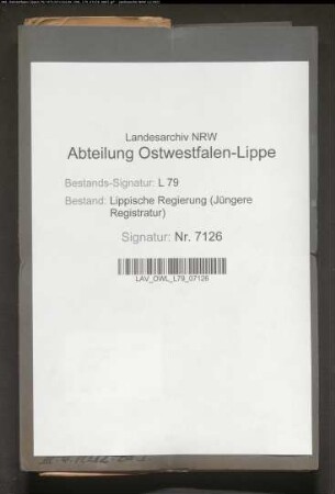 Verwaltungsberichte der Stadt Blomberg 1914/15 - 1916/17