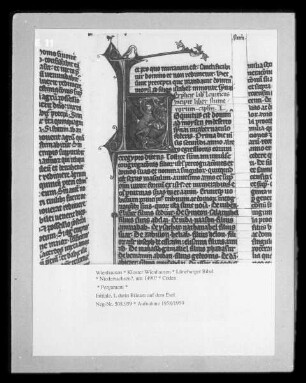 Lüneburger Bibel — Initiale, darin Bileam auf dem Esel
