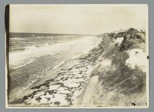 Wild schäumende Ostsee vor Wustrow an hohen Ufer