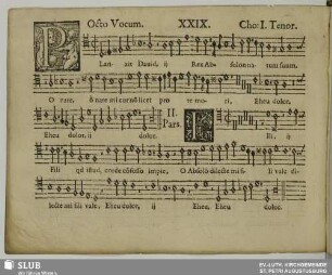 XXIX. Planxit David rex Absalon natum suum