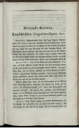 Vierzigste Gattung. Tagschläfer. Caprimulgus. Linn.