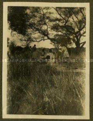 Afrikanische Hilfsarbeiter unter einem Baum