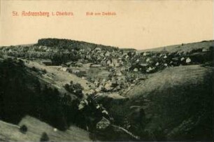 St. Andreasberg. Blick vom Treibholz auf den Ort
