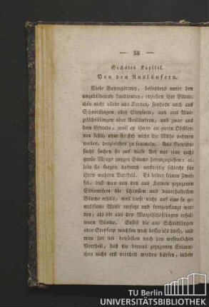 Sechstes Kapitel. Von den Ausläufern.