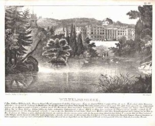 Taf. VII. Wilhelmshoehe.
