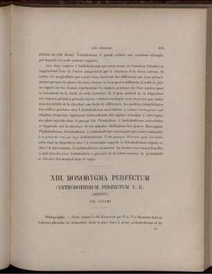 XIII. Monorygma Perfectum