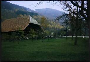 Zastler: Straße im herbstlichen Zastlertal, mit Schwarzwaldhof